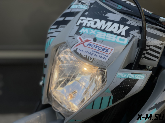 Кроссовый мотоцикл PROMAX MX250