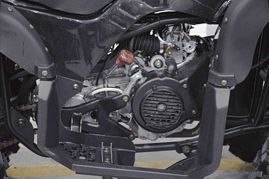 Квадроцикл Grizzly 200