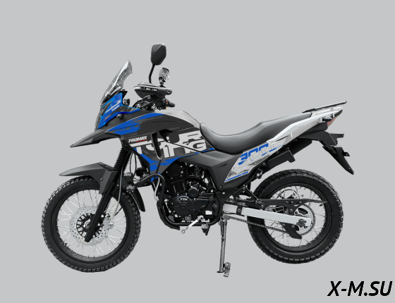 Мотоцикл PROMAX TOURING PR300