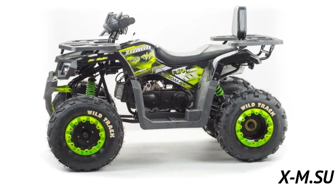 Квадроцикл PROMAX WILD 300 LUX (2024)