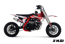 Питбайк Progasi KIDS POWER 110 (10/12)