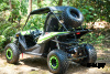 Багги UTV PROMAX Ranger 250 EFI