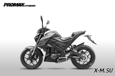 Мотоцикл PROMAX MT300