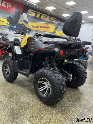 Квадроцикл PROMAX RENEGADE 280 LONG WINCH PRO (2025)